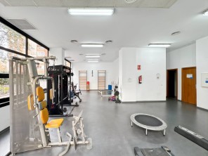 Gimnasio